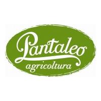 Pantaleo Agricoltura